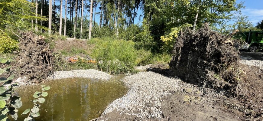 Bachrenaturierung Forstbetrieb Landsberg am Lech